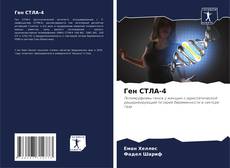 Borítókép a  Ген СТЛА-4 - hoz