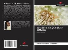 Database in SQL Server Software的封面