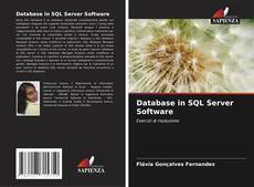 Database in SQL Server Software的封面