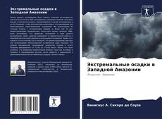 Экстремальные осадки в Западной Амазонии kitap kapağı