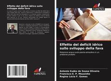 Effetto del deficit idrico sullo sviluppo della fava的封面