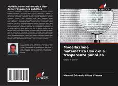 Buchcover von Modellazione matematica Uso della trasparenza pubblica