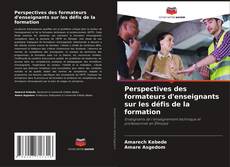 Copertina di Perspectives des formateurs d'enseignants sur les défis de la formation