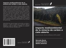Buchcover von Impacto medioambiental de la minería de carbón a cielo abierto