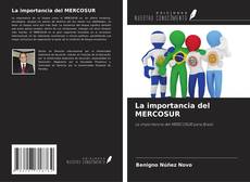 Buchcover von La importancia del MERCOSUR