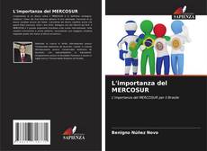 L'importanza del MERCOSUR kitap kapağı