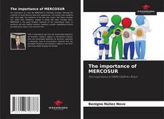 Borítókép a  The importance of MERCOSUR - hoz