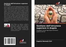 Gestione dell'istruzione superiore in Angola kitap kapağı