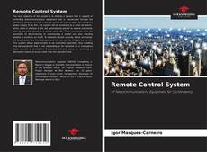 Bookcover of Remote Control System