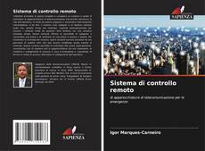 Sistema di controllo remoto的封面