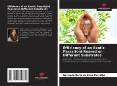 Bookcover of Efficiency of an Exotic Parasitoid Reared on Different Substrates