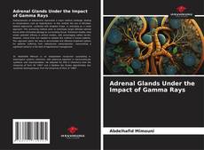 Borítókép a  Adrenal Glands Under the Impact of Gamma Rays - hoz