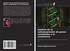 Buchcover von Análisis de la sobreexpresión de genes candidatos a la resistencia