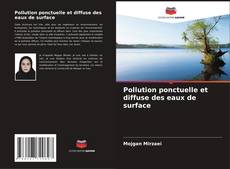 Copertina di Pollution ponctuelle et diffuse des eaux de surface