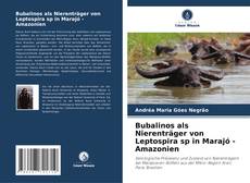 Bubalinos als Nierenträger von Leptospira sp in Marajó - Amazonien的封面