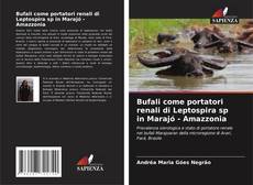 Bookcover of Bufali come portatori renali di Leptospira sp in Marajó - Amazzonia