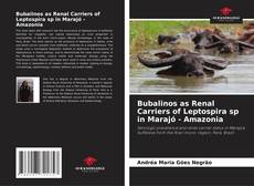 Portada del libro de Bubalinos as Renal Carriers of Leptospira sp in Marajó - Amazonia