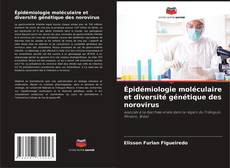 Épidémiologie moléculaire et diversité génétique des norovirus kitap kapağı