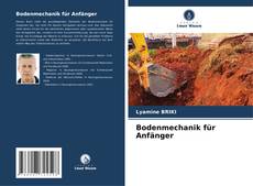 Portada del libro de Bodenmechanik für Anfänger