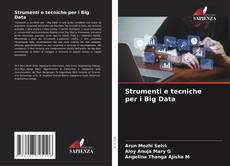 Strumenti e tecniche per i Big Data的封面