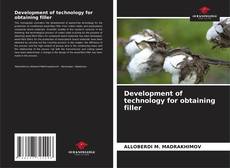 Bookcover of Development of technology for obtaining filler