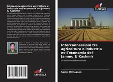 Interconnessioni tra agricoltura e industria nell'economia del Jammu & Kashmir的封面