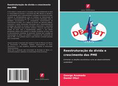 Reestruturação da dívida e crescimento das PME kitap kapağı