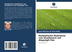 Portada del libro de Katalytische Hydrolyse von Sisalfasern mit Atapulgit-Ton