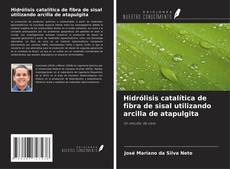 Capa do livro de Hidrólisis catalítica de fibra de sisal utilizando arcilla de atapulgita 