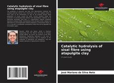 Catalytic hydrolysis of sisal fibre using atapulgite clay的封面