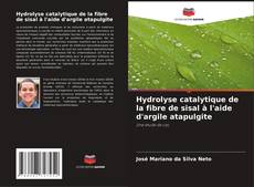 Hydrolyse catalytique de la fibre de sisal à l'aide d'argile atapulgite kitap kapağı