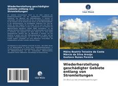 Обложка Wiederherstellung geschädigter Gebiete entlang von Stromleitungen