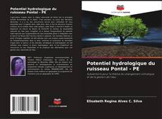 Potentiel hydrologique du ruisseau Pontal - PE kitap kapağı