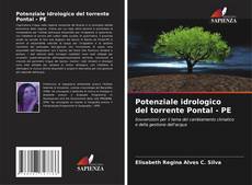 Potenziale idrologico del torrente Pontal - PE kitap kapağı