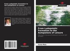 From Ludopoietic Formation to the Autopoiesis of Leisure的封面
