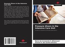 Copertina di Pressure Ulcers in the Intensive Care Unit