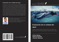 Buchcover von Evaluación de la calidad del agua
