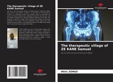 Couverture de The therapeutic village of ZE KANE Samuel