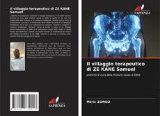 Il villaggio terapeutico di ZE KANE Samuel kitap kapağı