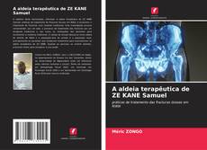 A aldeia terapêutica de ZE KANE Samuel kitap kapağı