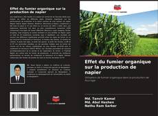 Bookcover of Effet du fumier organique sur la production de napier