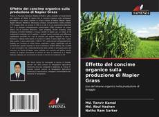Effetto del concime organico sulla produzione di Napier Grass kitap kapağı