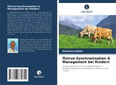 Bookcover of Östrus-Synchronisation & Management bei Rindern