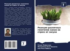 Buchcover von Реакция различных генотипов какао на стресс от засухи