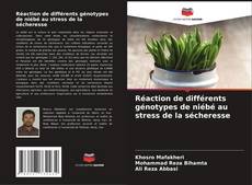 Réaction de différents génotypes de niébé au stress de la sécheresse kitap kapağı