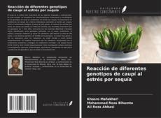 Reacción de diferentes genotipos de caupí al estrés por sequía kitap kapağı