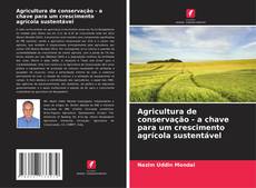 Agricultura de conservação - a chave para um crescimento agrícola sustentável kitap kapağı