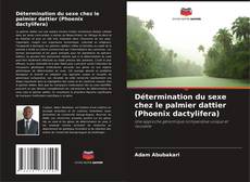 Capa do livro de Détermination du sexe chez le palmier dattier (Phoenix dactylifera) 