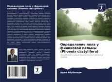 Bookcover of Определение пола у финиковой пальмы (Phoenix dactylifera)