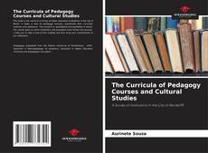 Bookcover of The Curricula of Pedagogy Courses and Cultural Studies